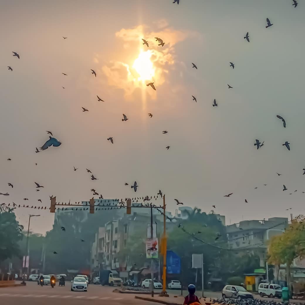 Picture of the city